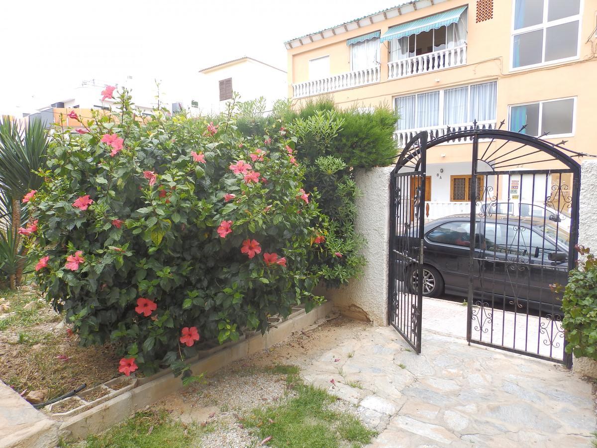 Alegria Id39 Lägenhet Torrevieja Exteriör bild